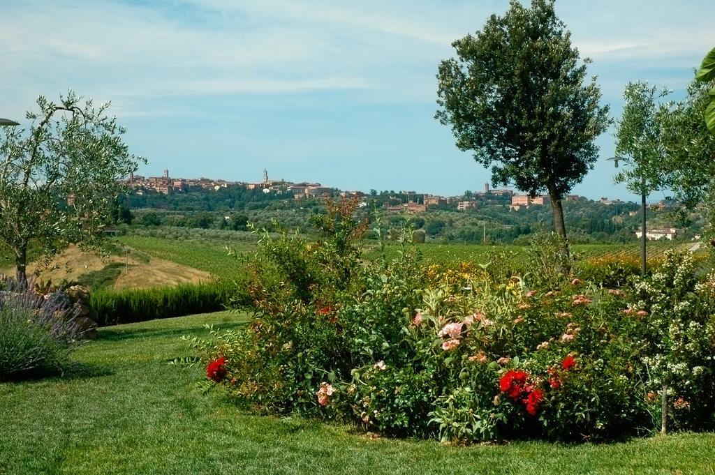 Aia Mattonata Relais Acomodação com café da manhã Siena Exterior foto