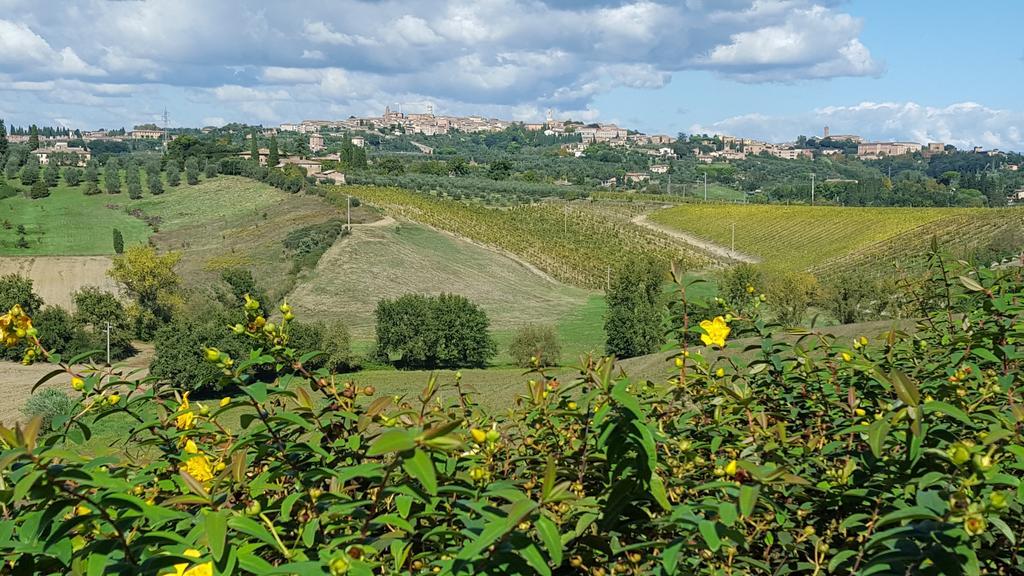 Aia Mattonata Relais Acomodação com café da manhã Siena Exterior foto