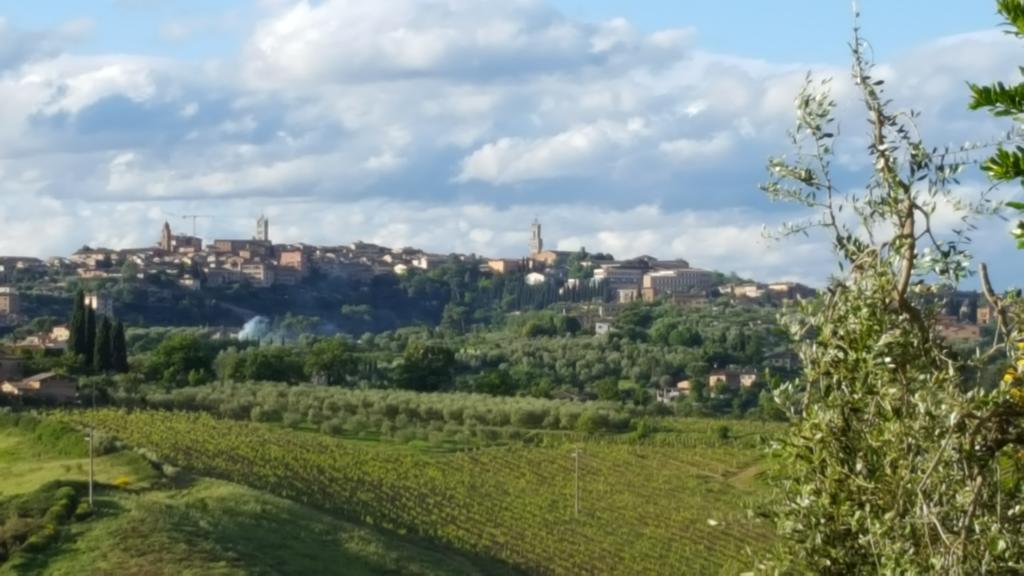 Aia Mattonata Relais Acomodação com café da manhã Siena Exterior foto